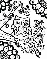 Owl Coloring Pages Baby Getcolorings Printable Adults sketch template
