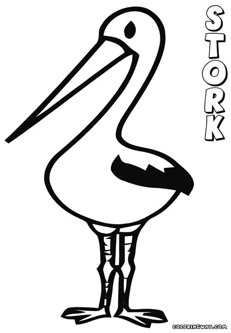 stork coloring   designlooter