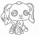 Lps Husky Littlest Clipart Drawings Collie Webstockreview Seekpng sketch template
