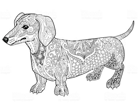 dachshund dogs coloring pages  adults coloring pages