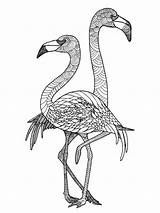 Pages Coloring Flamingo Zentangle Adults Mycoloring Adult sketch template