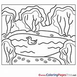 Pond Coloring Pages Sheet Sheets Title sketch template
