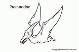 Dinosaur Coloring Pages Pteranodon Dinosaurs Kids Jurassic Printable Facts Realistic Names Flying Online Microraptor Rex Sheets Preschool Print Popular Library sketch template
