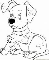 Coloring Dalmatian Puppy Pages Coloringpages101 sketch template