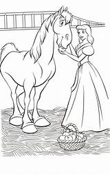 Cinderella Caballo Kolorowanki Kopciuszek Caballos Cavalo Cenicienta Cavalos Pferd Mele Suo Cavallo Cinderela Seinem Pobrania Dibujar sketch template