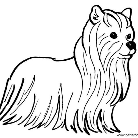 cute yorkie coloring pages  printable coloring pages