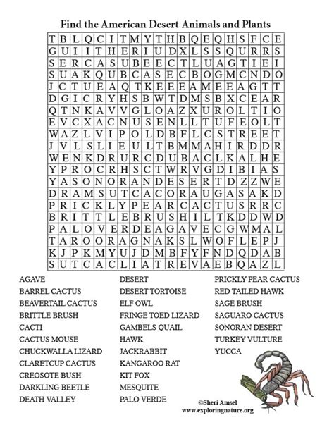 word search games  adults  teens  coloring printable word