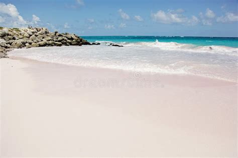 Pink Sand Beaches Barbados Stones On The Beach Stock Image Image Of