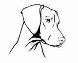 Vizsla Magyar Ungarischer Vorstehhund Bulldog sketch template