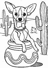 Coloring Chihuahua Pages Cactus Fiesta Dog Printable Pottery Inside Tree Color Drawing Native Getdrawings American Netart Getcolorings Cartoon Print Colorings sketch template