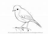 Robin Bird Drawing Draw Step Birds Red Drawings Line Drawingtutorials101 Make Easy Competition Learn Pencil Tutorials Robins Getdrawings sketch template