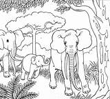 Olifanten Elephants Kleuren Boek Bladzijden Kleurplaten sketch template