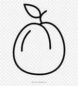 Apricot Pinclipart Clipground sketch template