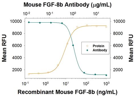 fgf 8 antibodies novus biologicals