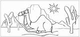Camel Fascinating Coloringpagesfortoddlers sketch template