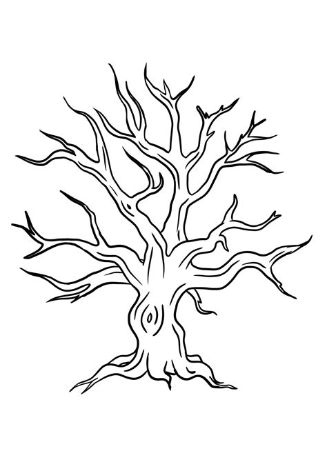 tree template  leaves   printables artsydee drawing