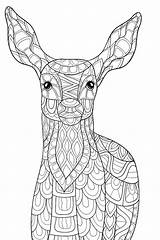 Zen Coloring Pages Pdf Adult Animals Printable Getcolorings Getdrawings sketch template