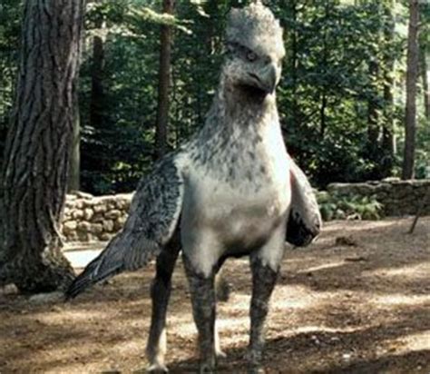 hippogriff search