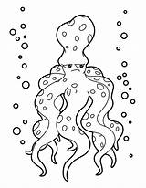 Laut Colorir Pulpo Mewarnai Hewan Sketsa Gurita Animales Poulpe Binatang Octopus Desenhos Dibujo Comemorativas Datas Raros Hellokids Tk Marinos Creatures sketch template