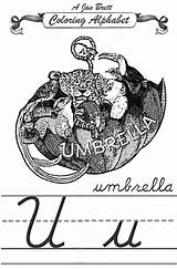 Umbrella Coloring Janbrett Alphabet Cursive Click Subscription Downloads sketch template