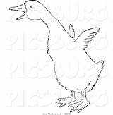 Gosling Clipart Flapping Clip Wings Little Line Picsburg Clipground sketch template