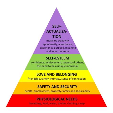 maslows hierarchy     hierarchy