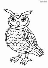 Owl Coloring Easy Eared Long Owls Animals sketch template