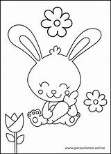 Conejos Conejo Paracolorear sketch template