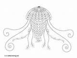 Jellyfish Coloring Zentangle Adult Template Pages sketch template