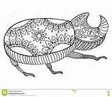 Zen Bug Doodle Tangle Zentangle Beetle Vector Preview sketch template