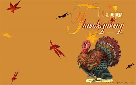 Turkey Thanksgiving Wallpapers Wallpaper Cave