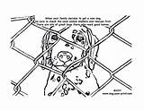 Shelter Colouring Shelters Adoption Cruelty Paw sketch template