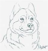 Husky Coloring Pages Siberian Line Realistic Alaskan Drawings Dog Drawing Seekpng Bing Deviantart Animals Template Comments sketch template