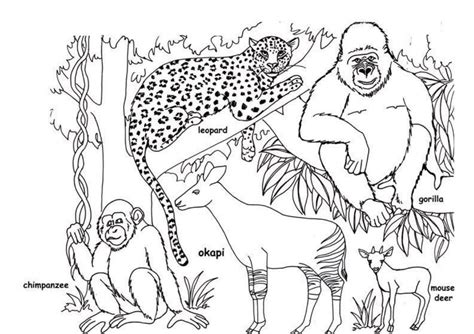 wild animal coloring page  quality coloring page coloring home