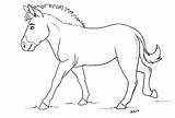 Zebra Stripes Coloring Pages Baby Lineart Horse Cute Without Color Printable Line Animal Stripe Equine Getcolorings Colouring Tiger Horses Print sketch template