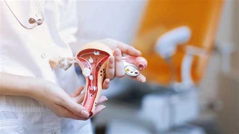 Kehamilan Ektopik Gejala Penyebab Dan Pengobatan Bibia Id