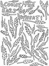 Wheat Harvest Activity Festival Ears Count Printable Printables sketch template