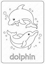 Dolphin Coloring Pages Printable Cute Kids Choose Board Print sketch template
