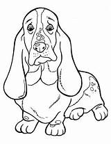 Hound Basset Supercoloring sketch template
