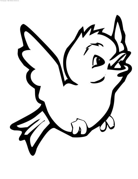 baby bird coloring page timeless miraclecom