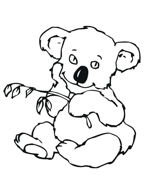 koala drawing cute    clipartmag
