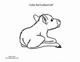 Caribou Calf Sponsors Wonderful Support Please Coloringnature sketch template