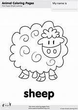Macdonald Sheep Loudlyeccentric Supersimple Flashcards Supersimplelearning sketch template