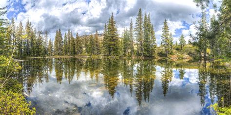 reflections   small forest lake  northern california oc