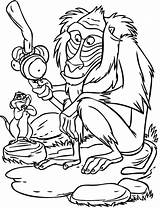 Rafiki Timon Coloring Pages Lion King Printable Coloringonly sketch template