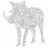 Savannah Coloring Millie Marotta Wild Warthog Colouring Book Pages Books Adventure Designlooter Amazon 2560px 2560 21kb 1066 Printable Getcolorings Choose sketch template