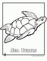 Mommies Honu sketch template