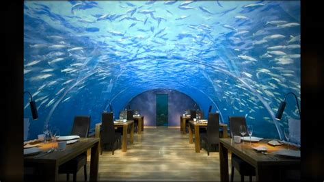 worlds  underwater hotel suite
