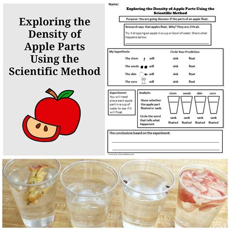 exploring  density  apple parts   scientific method