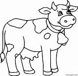 Cow Coloring Pages Dairy sketch template